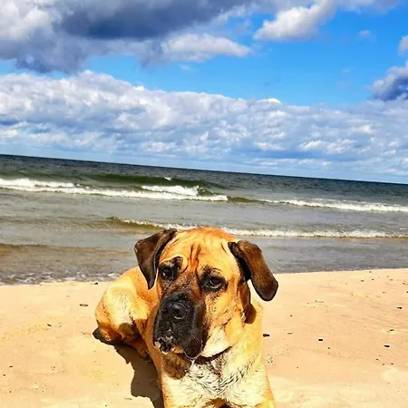 Dziwna Polnische Ostsee Mit Sauna Und Jakuzzi 2 Meter Hoher Zaun Haustiere Herzlich Willkommen بيت للعطل Sieroslaw (Kamien)