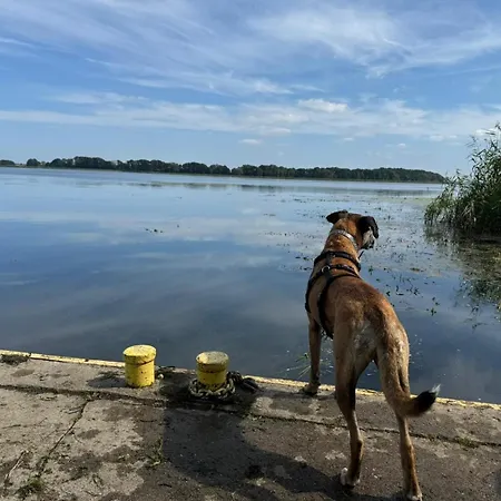 Dziwna Polnische Ostsee Mit Sauna Und Jakuzzi 2 Meter Hoher Zaun Haustiere Herzlich Willkommen بيت للعطل Sieroslaw (Kamien)